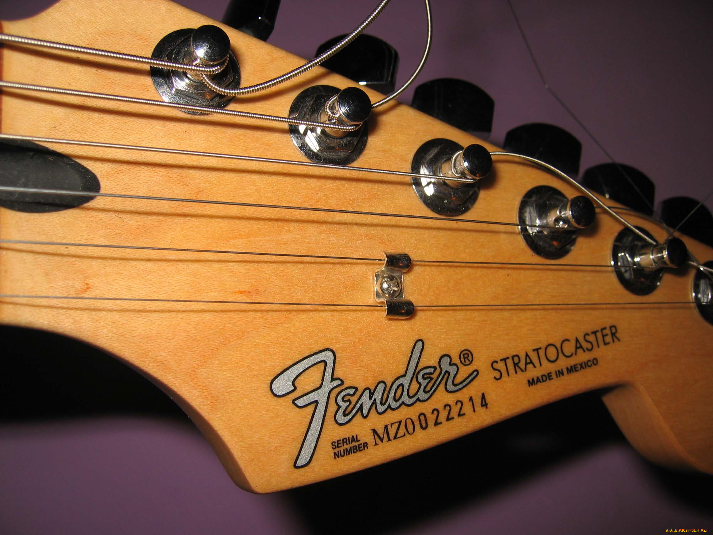 , , , , , , fender, stratocaster